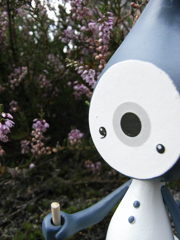 placeholder image-sq