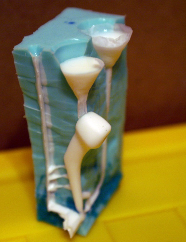 placeholder image-sq